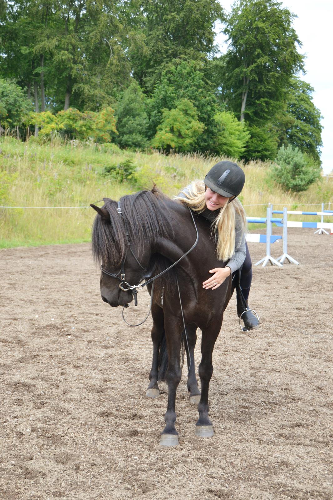 Islænder Aska fra Kringlan  - Juli 2015 billede 21