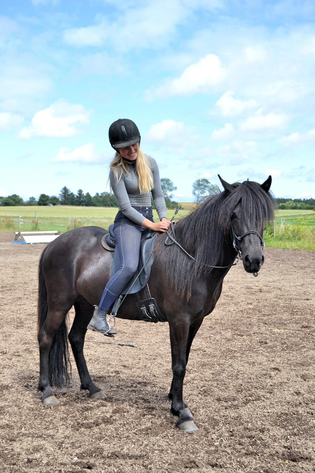 Islænder Aska fra Kringlan  - Skøøøøn - Juli 2015 billede 12