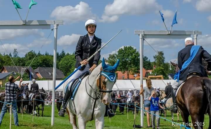 Anden særlig race Tantoos Comander (Kato) billede 12