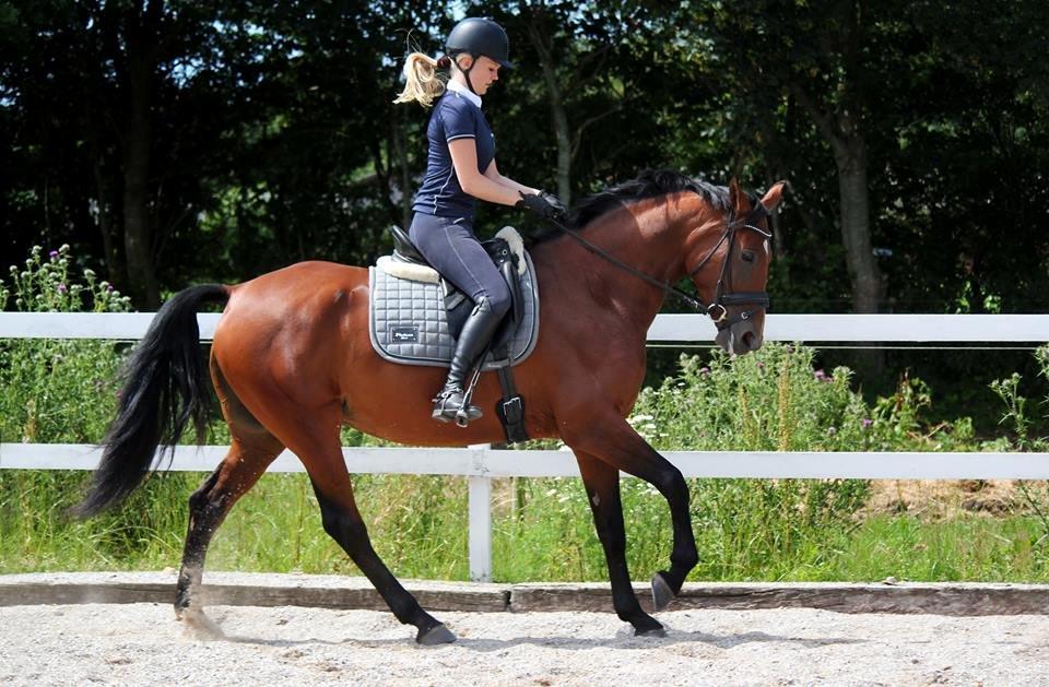 Anden særlig race Hanuzka billede 25
