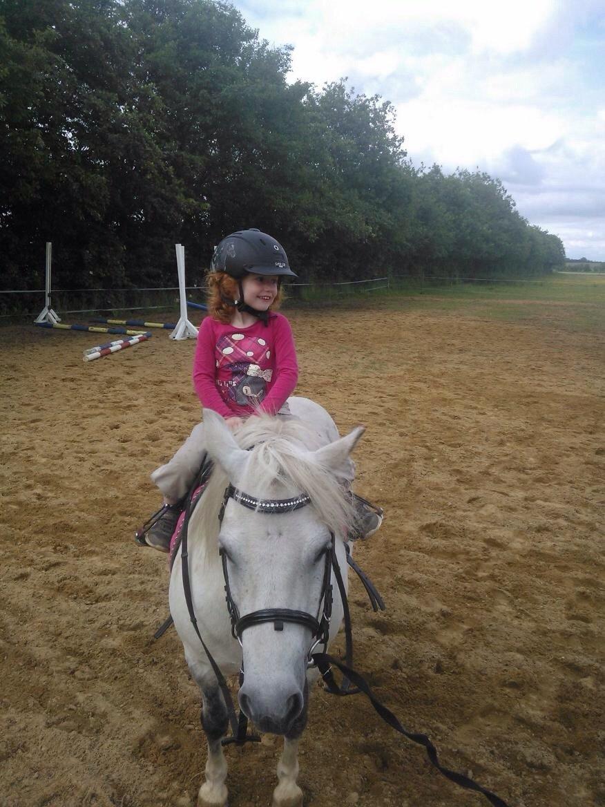 Anden særlig race Donna billede 15