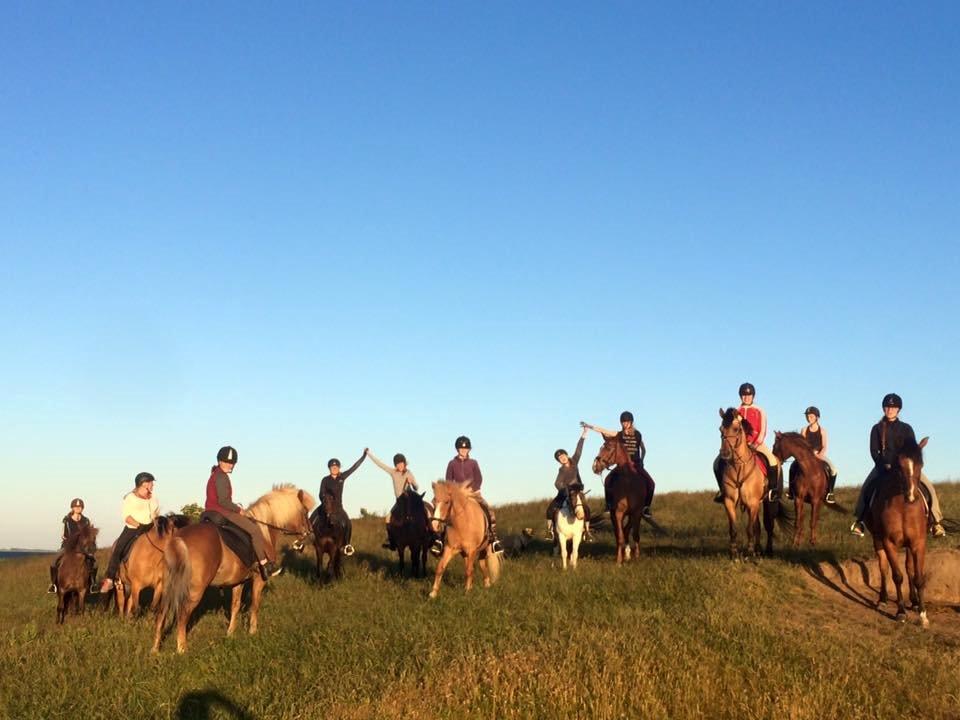 Islænder Hremsa - Ridelerjer 2015 billede 4