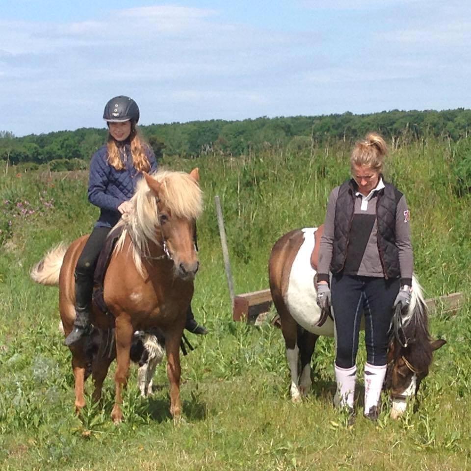 Islænder Hremsa - Billed fra tidligere ejer, hvor de er en tur ved vandet.  billede 5
