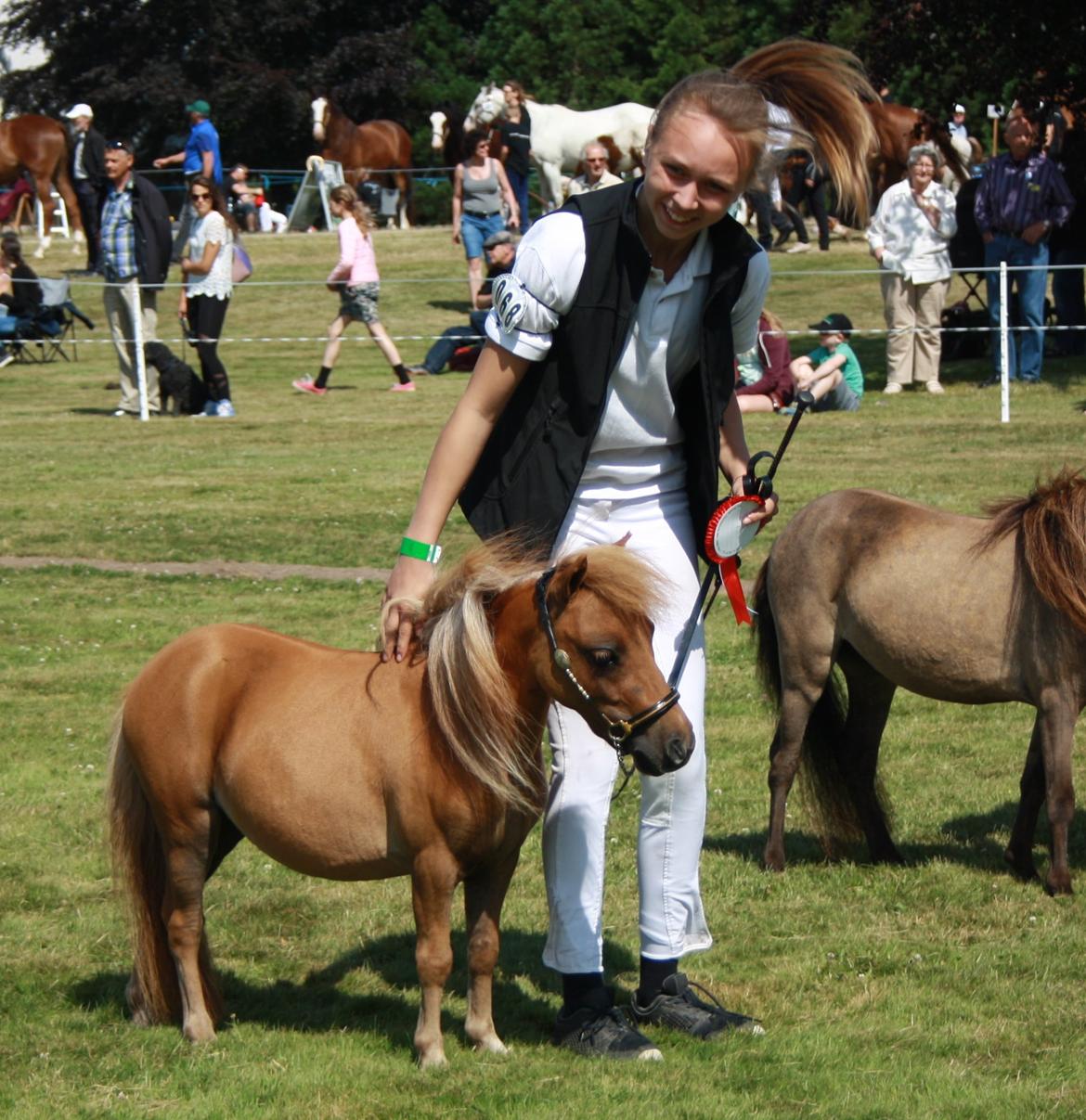 Dansk Miniature Kom-Foxy Lady of Eagle - Brahetrolleborg 2015 - 2 år billede 15