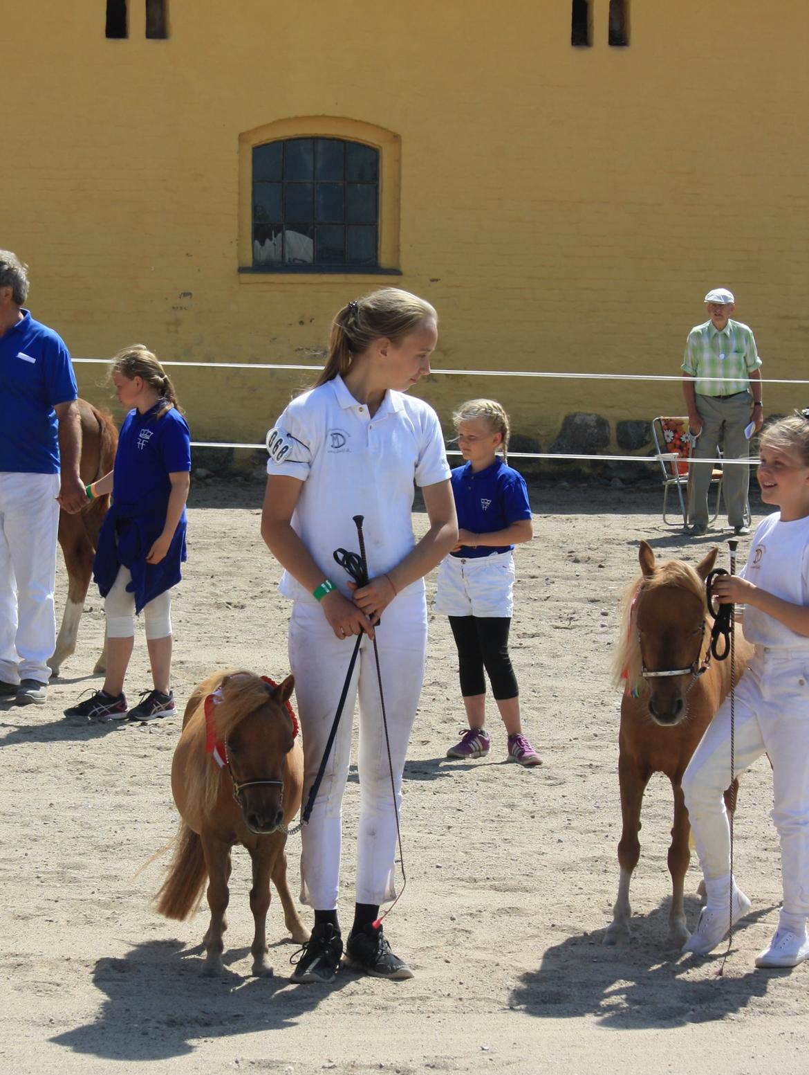 Dansk Miniature Kom-Foxy Lady of Eagle - Brahetrolleborg 2015 - 2 år billede 16
