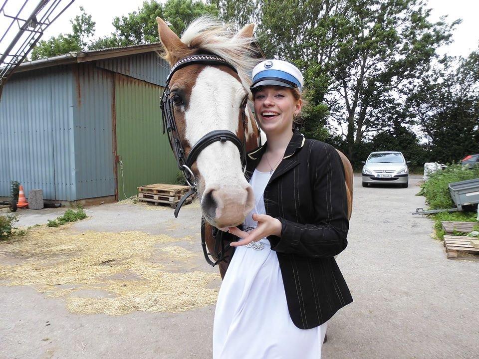 Pinto Ducati billede 15