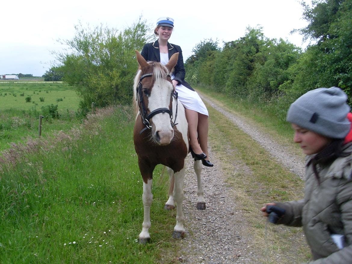 Pinto Ducati billede 18