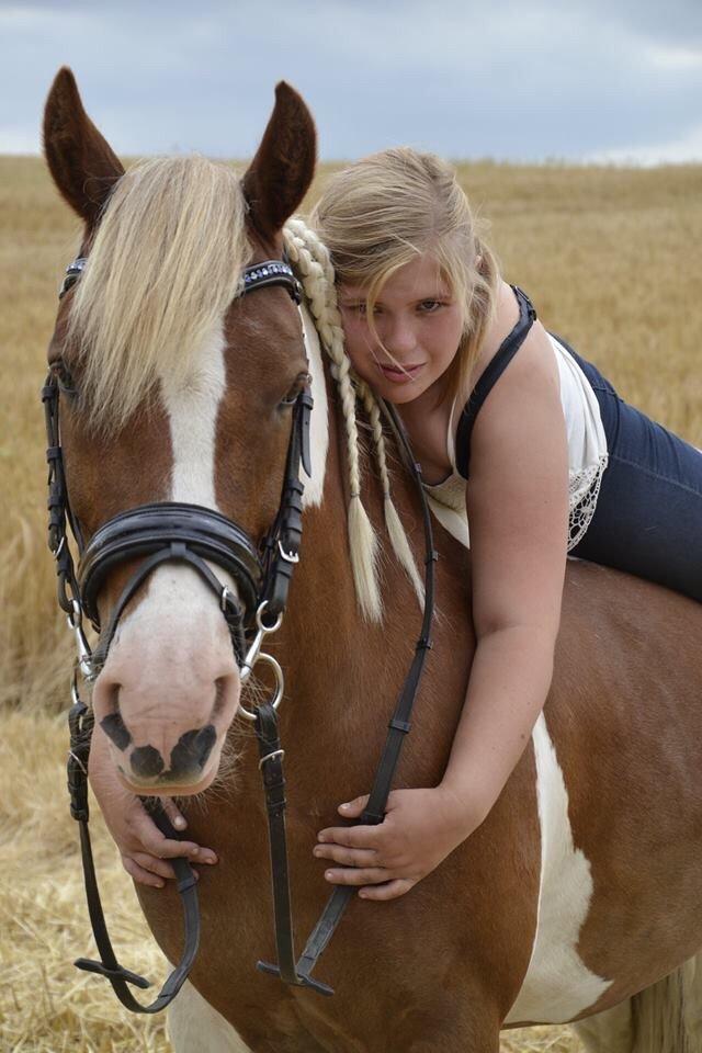 Anden særlig race Royal Rocky *Lillermand* billede 3