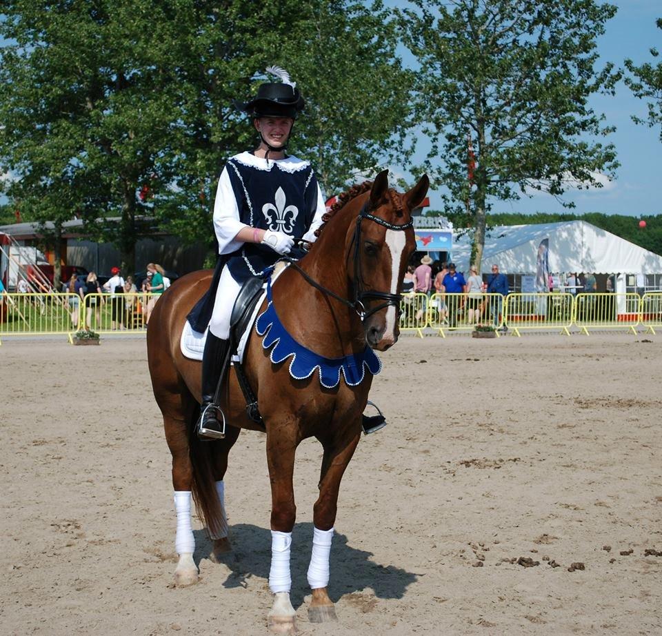 Frederiksborg Vestergårds Meleisa - Landskuet Herning 2015 billede 11