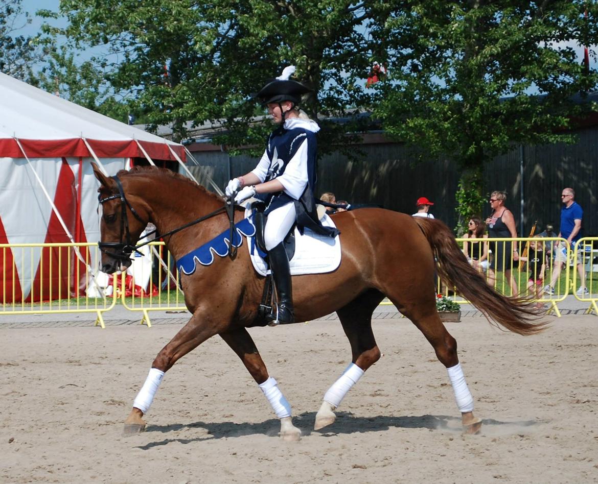 Frederiksborg Vestergårds Meleisa - Landskuet Herning 2015 billede 13