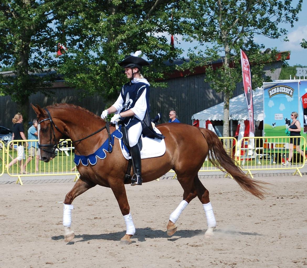 Frederiksborg Vestergårds Meleisa - Landskuet Herning 2015 billede 19