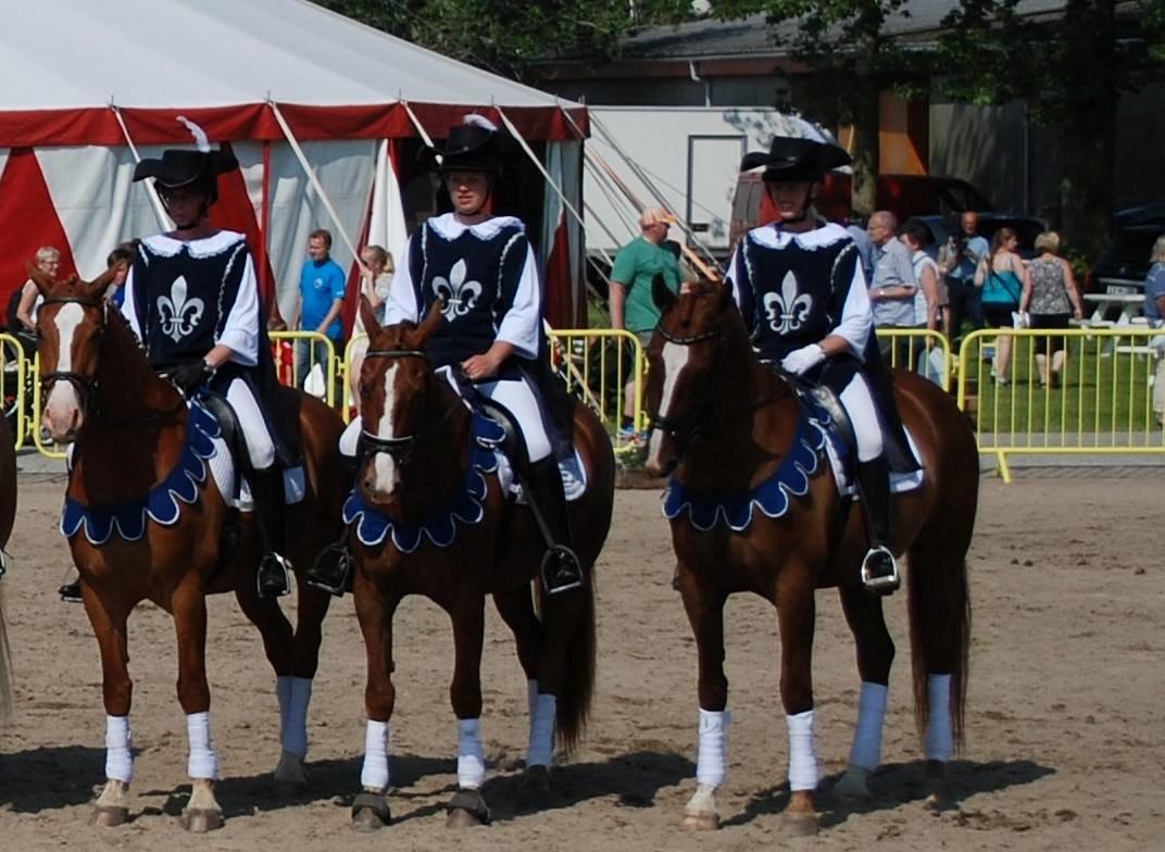 Frederiksborg Vestergårds Meleisa - Landskuet Herning 2015 billede 12