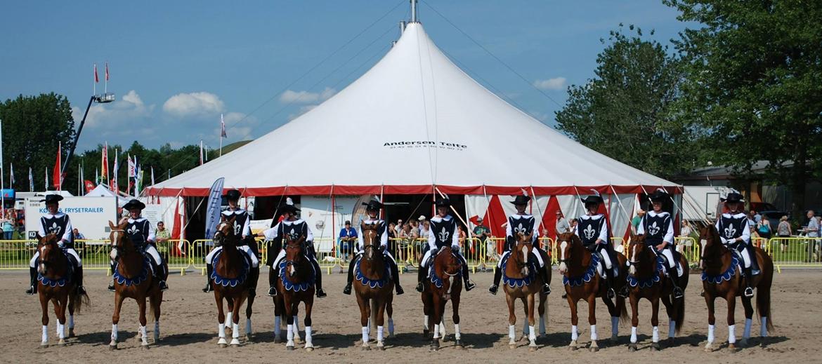 Frederiksborg Vestergårds Meleisa - Landskuet Herning 2015 billede 17