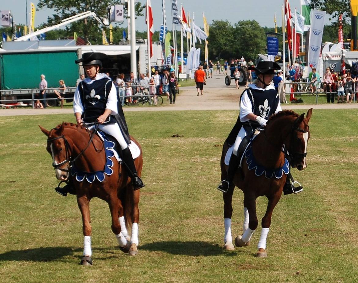 Frederiksborg Vestergårds Meleisa - Landskuet Herning 2015 billede 18