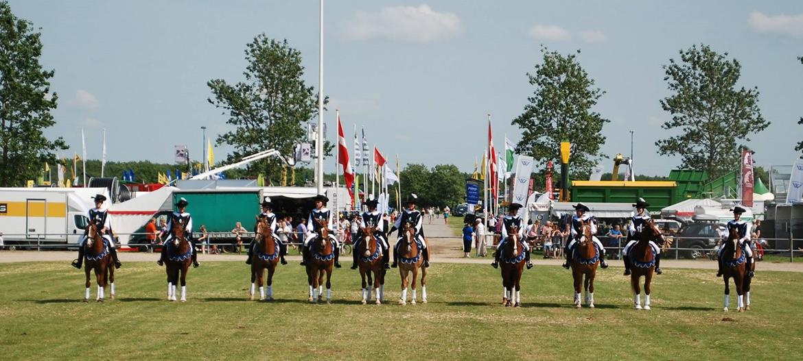 Frederiksborg Vestergårds Meleisa - Landskuet Herning 2015 billede 20