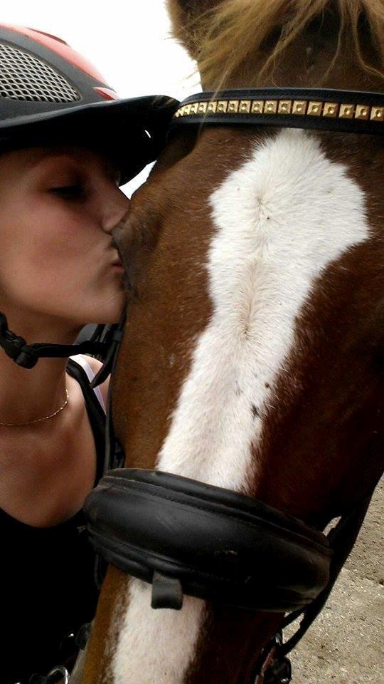 Tysk Oldenburger Sir Taki 2 billede 12