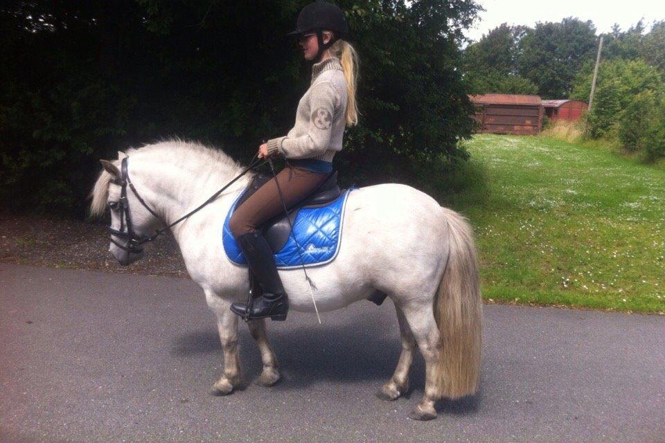 Anden særlig race Silas [Tidl. Part] billede 1