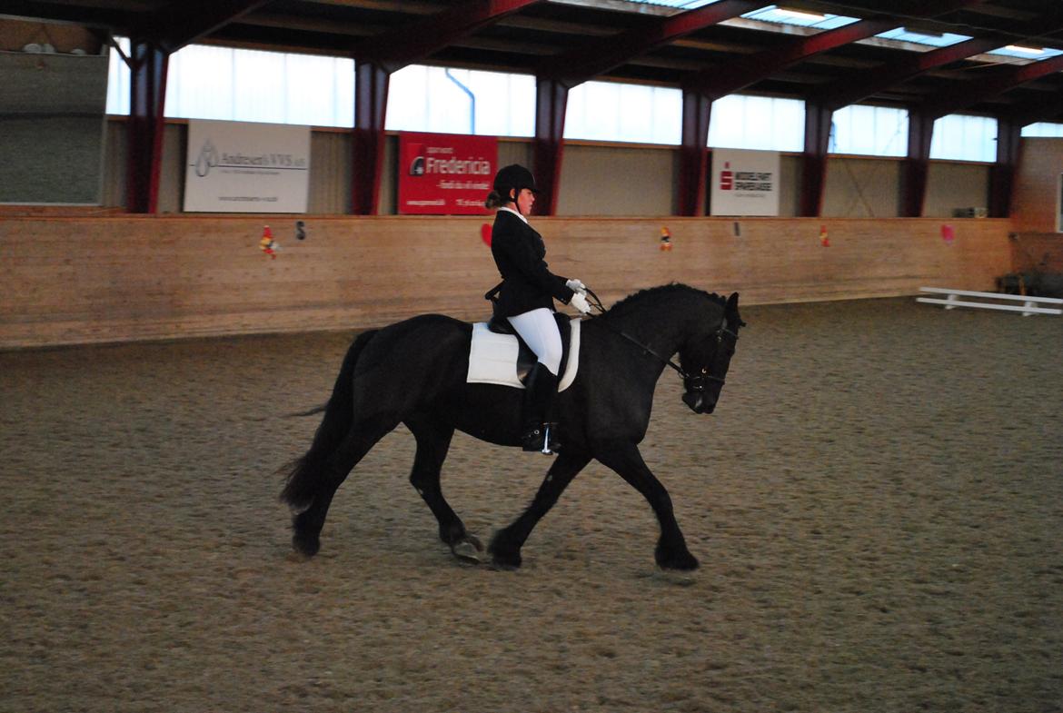 Frieser Tessa billede 19