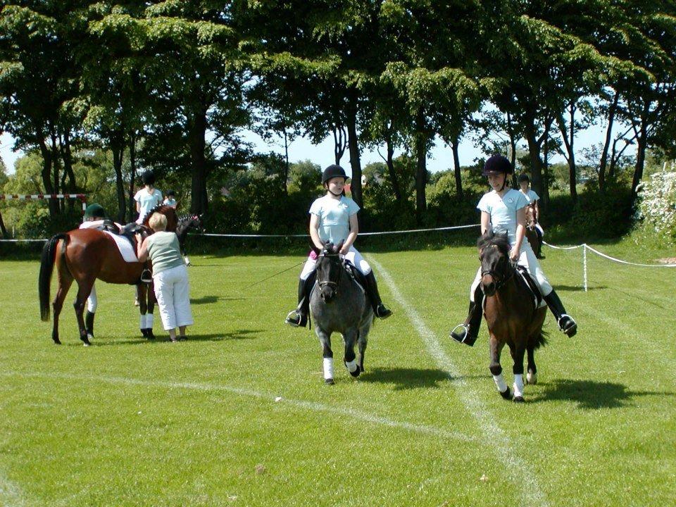 Anden særlig race Miss Cheri - Kvadrille billede 7