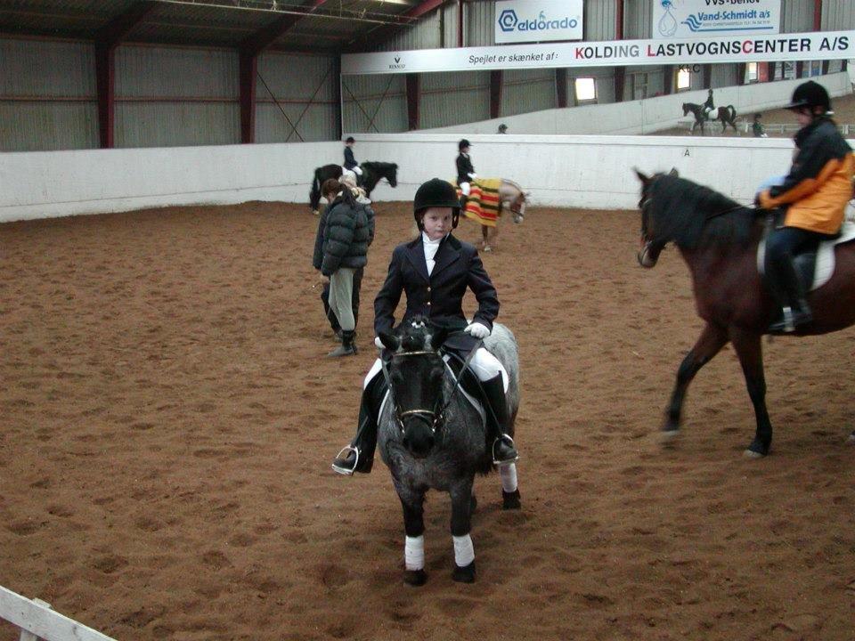 Anden særlig race Miss Cheri - Første stævne billede 1