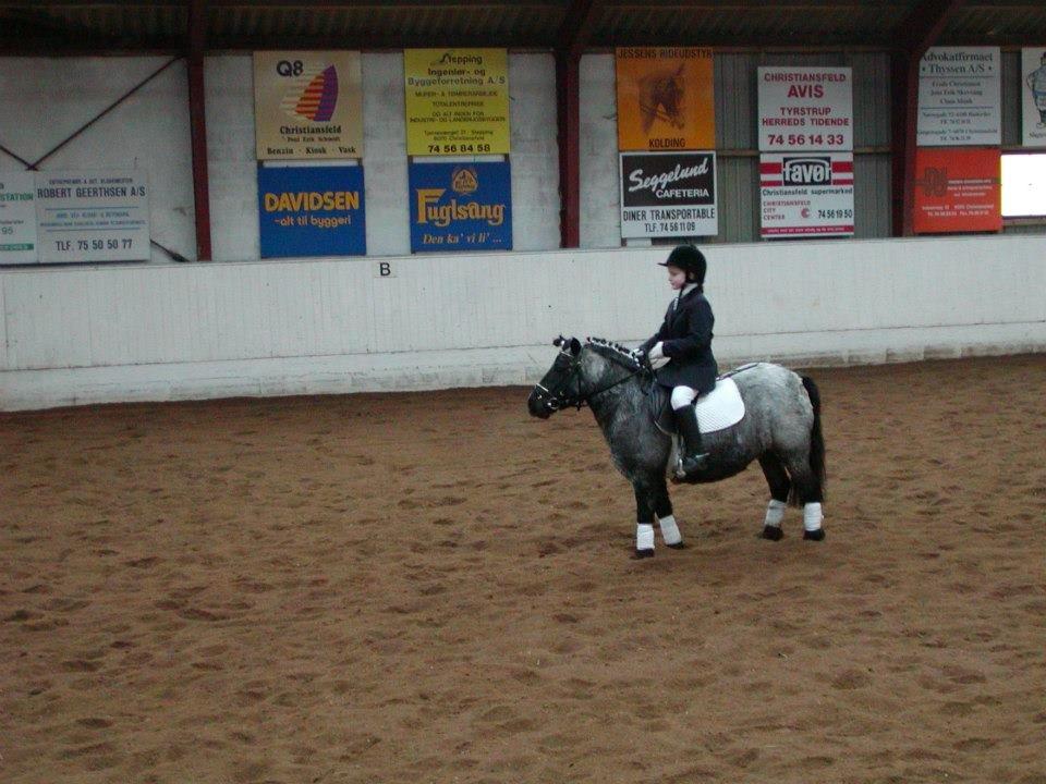 Anden særlig race Miss Cheri - Første stævne billede 2