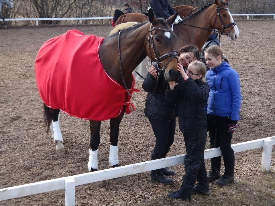 Dansk Varmblod Gredstedgårds Regitze billede 6