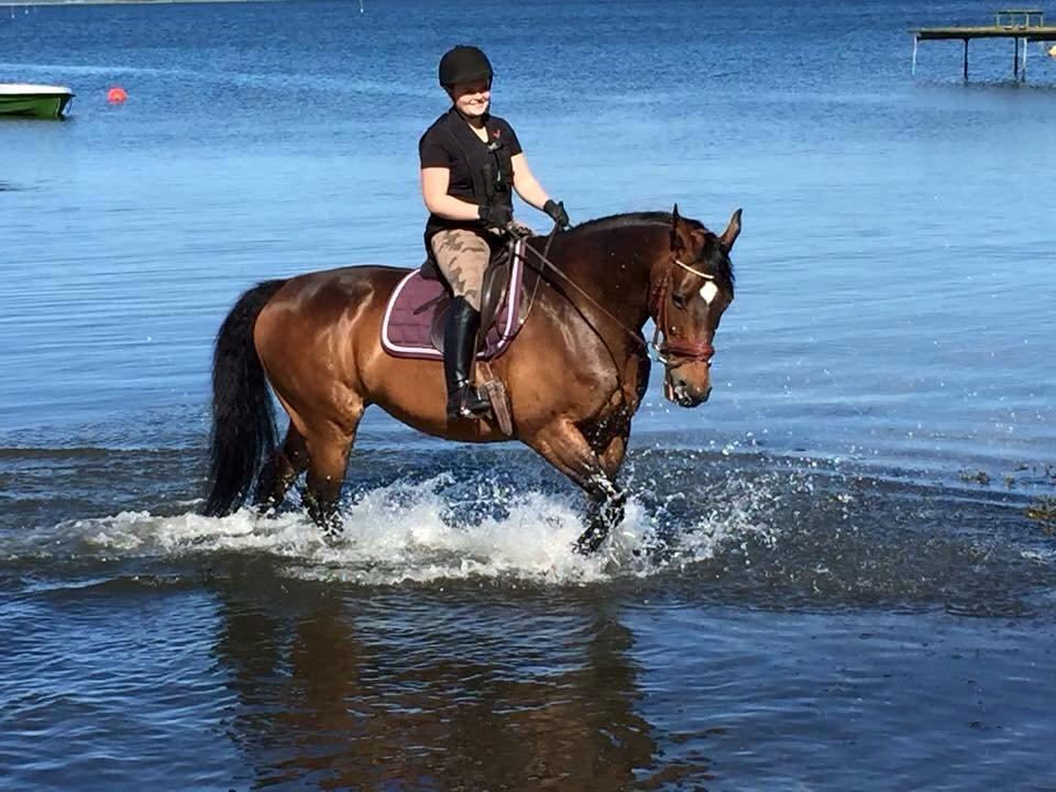 Dansk Varmblod Gredstedgårds Regitze - Vores sidste tur sammen.. <3 billede 16