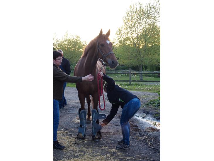 {{currentPhoto.altText}} billede {{currentPhoto.number}}