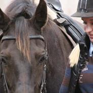 Anden særlig race Gabby 