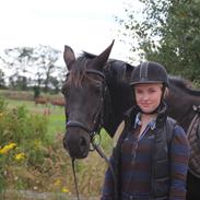 Anden særlig race Gabby 
