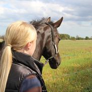 Anden særlig race Gabby 
