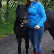 Welsh Mountain (sec A) Solbakkens Lullu