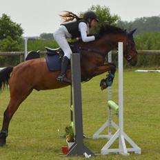 Anden særlig race Enghavegaards Lille Jensen