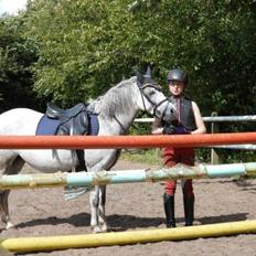 Welsh Mountain (sec A) Grandly's Afreja