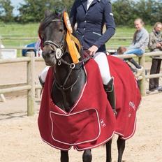 Anden særlig race Camilla!