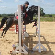 Anden særlig race Camilla!