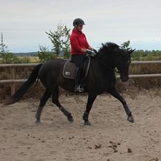 Oldenborg Flying Betty