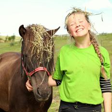 Islænder Lukka fra Ny Lergaard