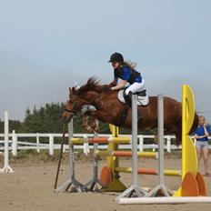 Anden særlig race Redstar