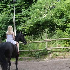 Frieser Maaike Van Nieuw Vels