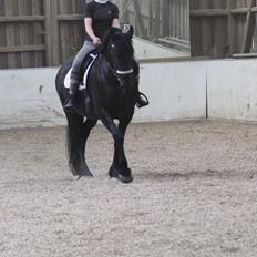 Frieser Maaike Van Nieuw Vels