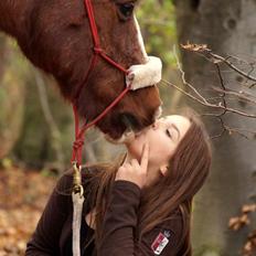 Anden særlig race Ponyen Pixie