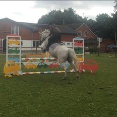 Anden særlig race Milleniums Maybe