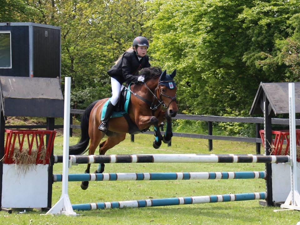 Anden særlig race Enghavegaards Lille Jensen billede 4