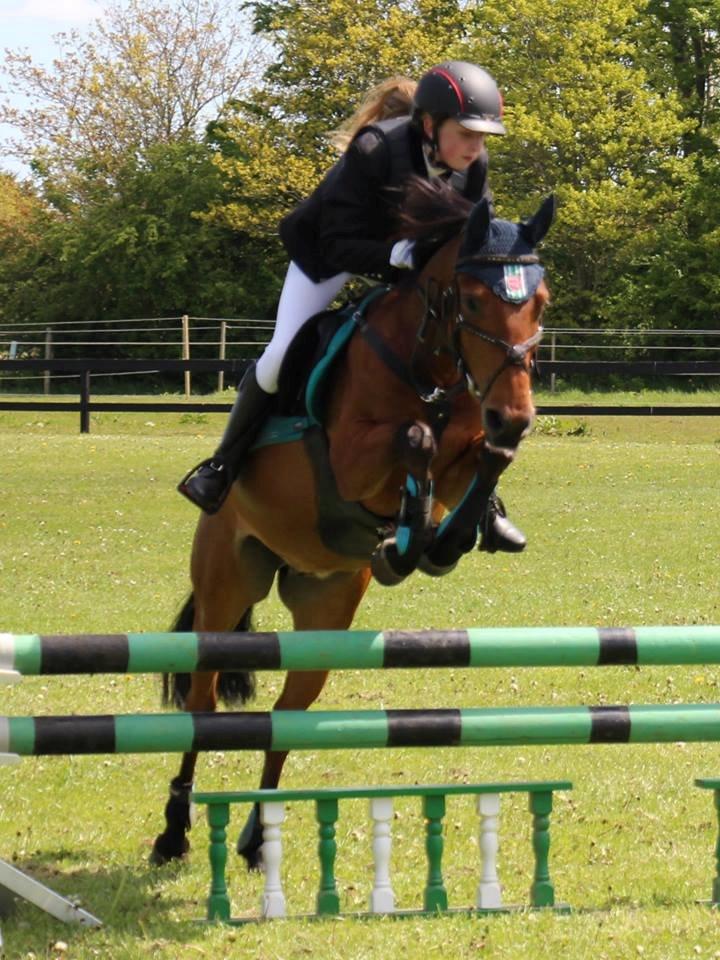 Anden særlig race Enghavegaards Lille Jensen billede 5