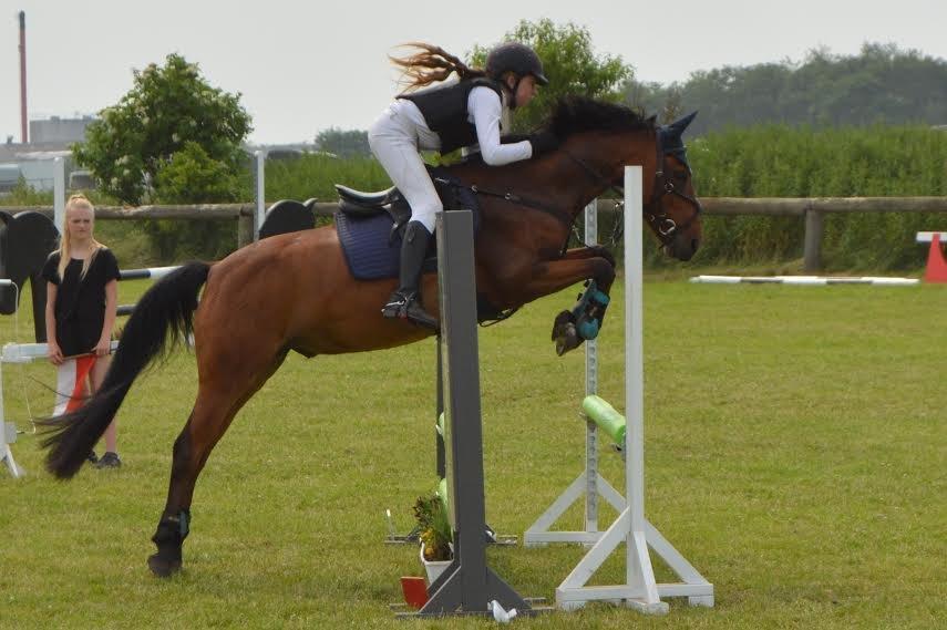 Anden særlig race Enghavegaards Lille Jensen billede 2
