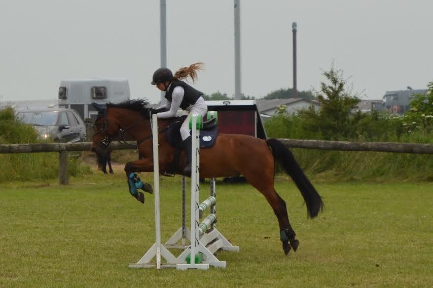 Anden særlig race Enghavegaards Lille Jensen billede 3