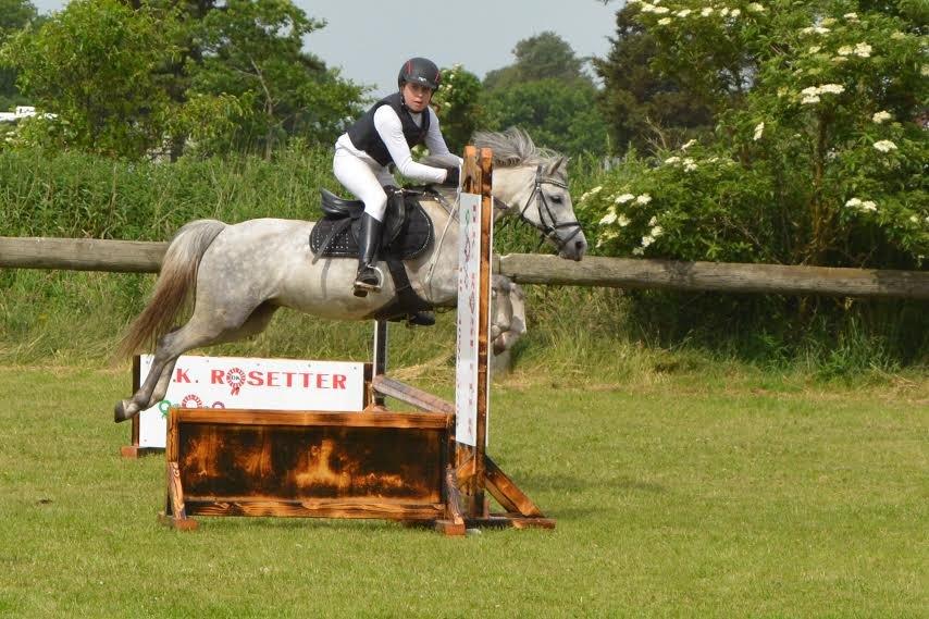 Welsh Mountain (sec A) Grandly's Afreja billede 5