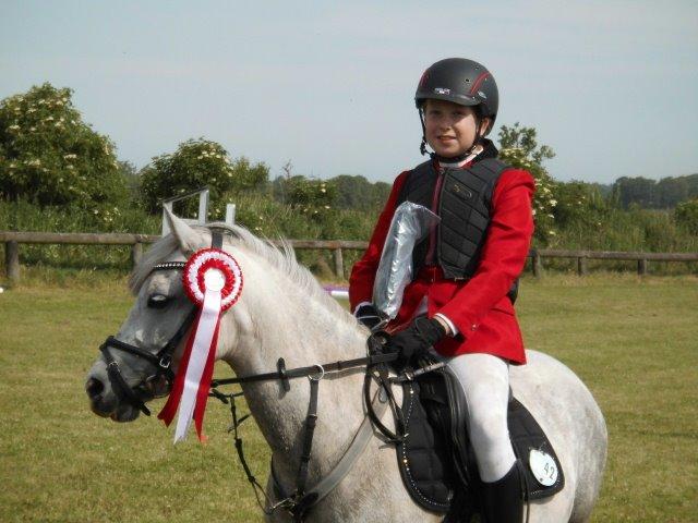 Welsh Mountain (sec A) Grandly's Afreja billede 1