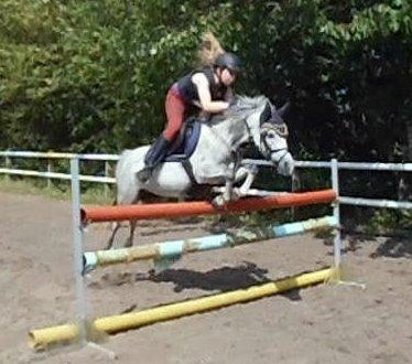 Welsh Mountain (sec A) Grandly's Afreja billede 2